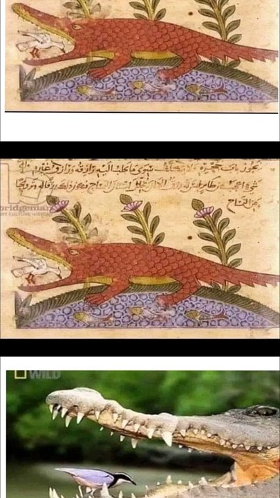 Khilafat ll Science