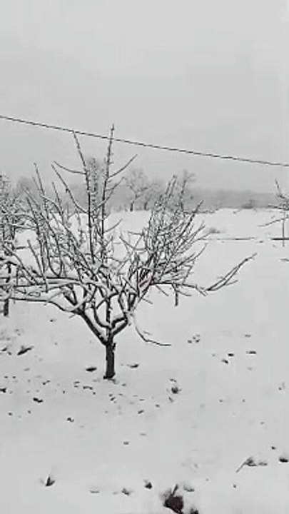 Snowfalls