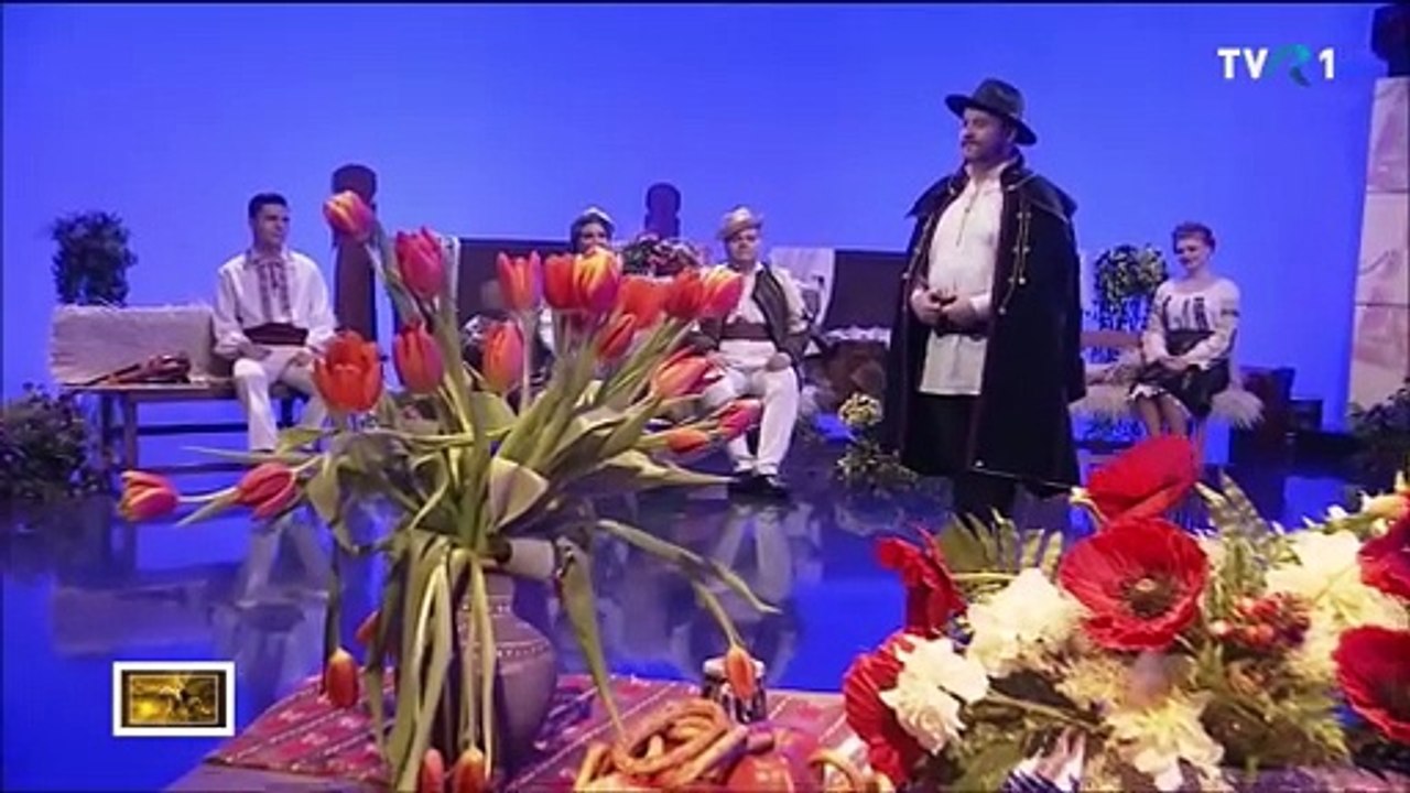 Alin Trocan - Scoala, puiculita, scoala (Tezaur folcloric - TVR 1 - 25.02.2024)