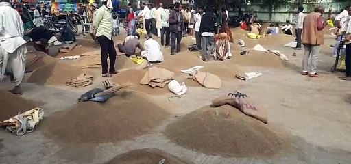 कृषि मंडियों में जिंसों की हो रही बम्पर आवक