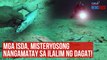 Mga isda, misteryosong nangamatay sa ilalim ng dagat! | GMA Integrated Newsfeed