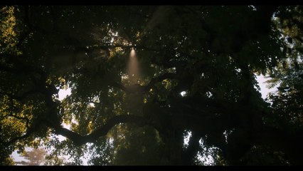 Dune : deuxième partie (2024) - Bande annonce