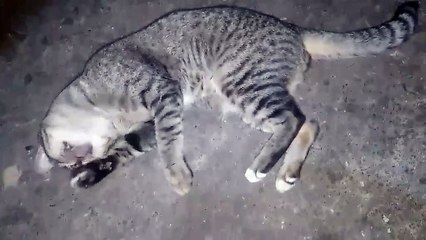 Naglilinis Ng Katawan Si Ming²