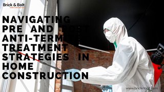 Navigating Pre and Post Anti-Termite Treatment Strategies in Home Construction