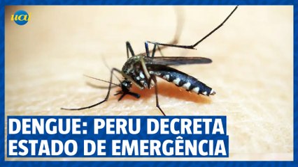 Dengue: Peru decreta estado de emergência sanitária
