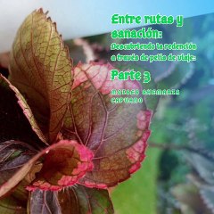 Moises Shemaria Capuano| Espero que disfruten de estas películas (parte 3)