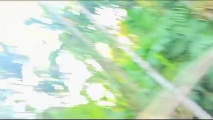 and short tik tok short bagla comsdaynew video short mojdar videobsgl storay new