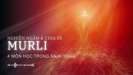 4 môn học trong Raja Yoga ✨ BKWSU VN | Nghiền ngẫm & Chia sẻ Murli