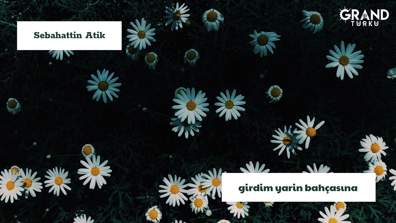 Sebahattin Atik - Girdim Yarin Bahçasına (Official Audio)