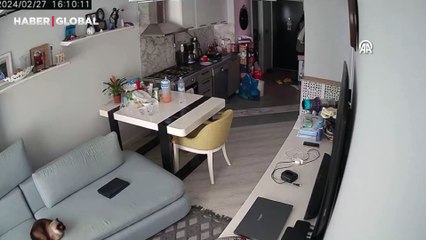 Çanakkale'de evin kedisi depremi böyle hissetti!