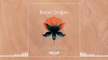 Bahar Doğan - Ali'yi Gördüm (Official Audio)
