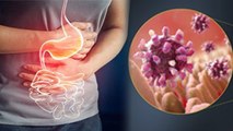 Delhi Stomach Infection Case Rises Reason|Gastroeteritis Symptoms & Prevention Tips | Boldsky