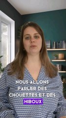 parlons de chouettes et hiboux