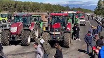 Agricultores espanhóis voltam a protestar