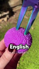 Shower Thoughts To Blow Your Mind 