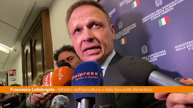 Sardegna, Lollobrigida Con Solinas non sarebbe andata diversamente