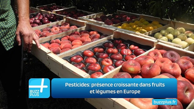 Pesticides: présence croissante dans fruits et légumes en Europe