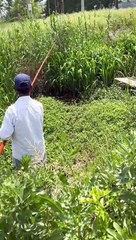 Fishing skill #Fishing #Skill