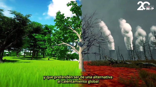 Las 7 mejores iniciativas que revierten el daño ambiental y restauran ecosistemas actualmente - #MSP