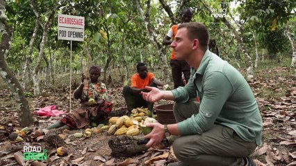 L'Ue e la Costa d'Avorio collaborano per produrre cacao sostenibile