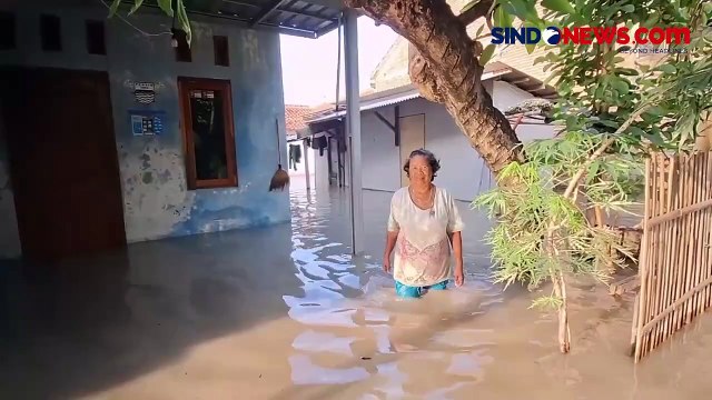 Banjir Rendam 3 Kecamatan di Brebes, BPBD Fokus Evakuasi Warga dan Bangun Dapur Umum