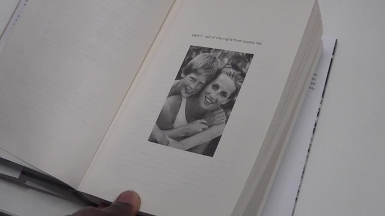 Prince Harry Visa Case Pics And Straps