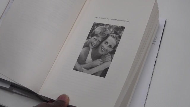 Prince Harry Visa Case Pics And Straps