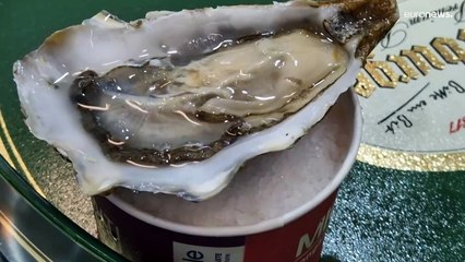 شاهد: الآيس كريم لم يعد تحلية في إيطاليا.. معرض يكشف النقاب عن نكهات مالحة ومبتكرة