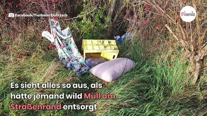 Müll in Sachsen wild entsorgt, doch das ist noch das geringste Verbrechen!