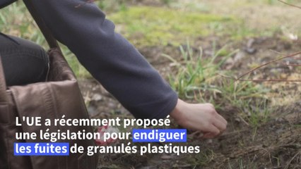 Dans la campagne belge, l'insidieuse pollution des granulés plastiques