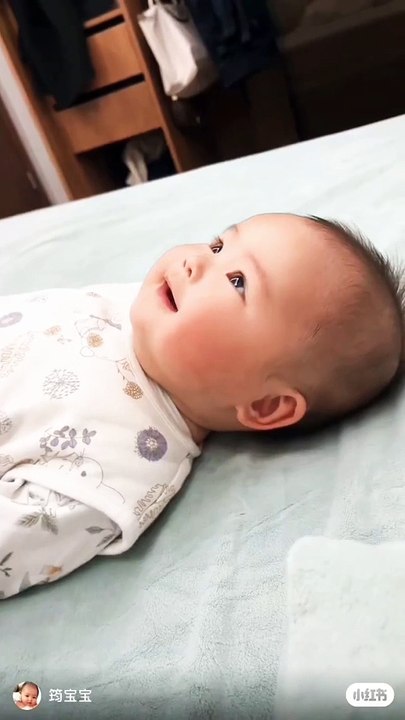 The Perfect Baby 