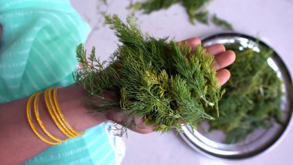 दुनिया का सबसे पौष्टिक पराठा। हेल्थी सोया पराठा World Best Healthy Paratha EP_02  @FitIndiaLitIndia