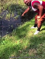 Terrifying Wildlife Scenes