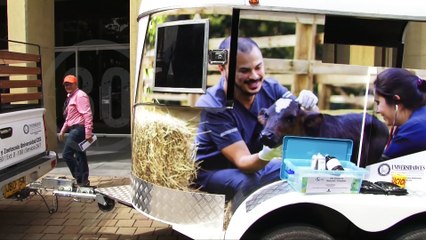 16-05-17-nueva-unidad-reaccion-inmediata-animales-medellin