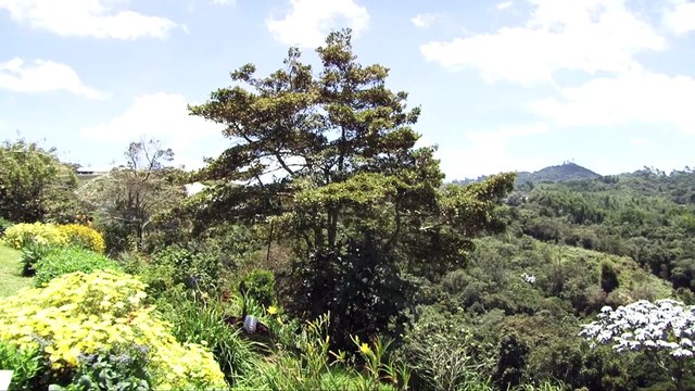 02-03-18 Alcaldia de Medellin pagara a propietarios de predios que abastecen acueductos ubicados en los corregimientos
