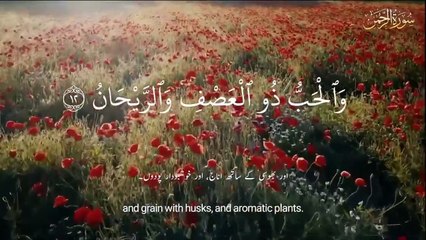 سورة الرحمن بصوت خاشع: رحلة إلى الروحانية في مكة المكرمة