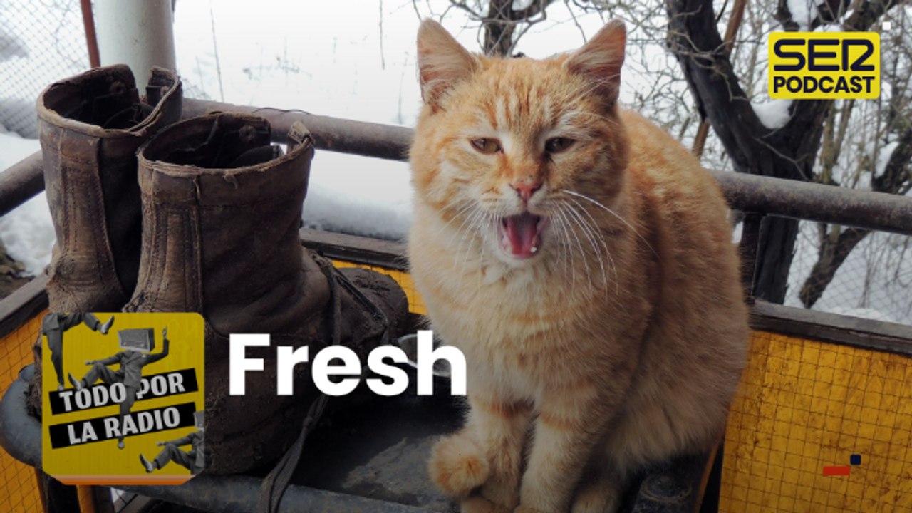 Fresh