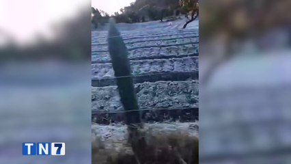 tn7-fincas-cercanas-a-volcan-turrialba-amanecieron-cubiertas-por-escarcha-270224