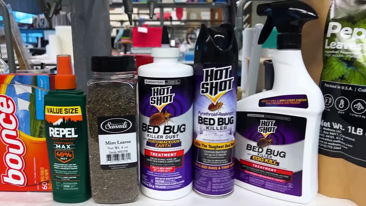 Bed Bugs- What You've Been Told is Totally False