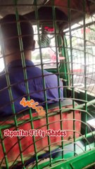 Cng meter vlog/ জীবনে প্রথম #মিটারে CNG ব্যবহারের অভিজ্ঞতা #cng #dhakacity #DhakaRoad