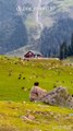 kashmir beautiful scenery | India's best experiences | Kashmir Beautiful Place In India | 15 Top Places to Visit in Kashmir | 30 Most Beautiful Places in Jammu and Kashmir to Visit |