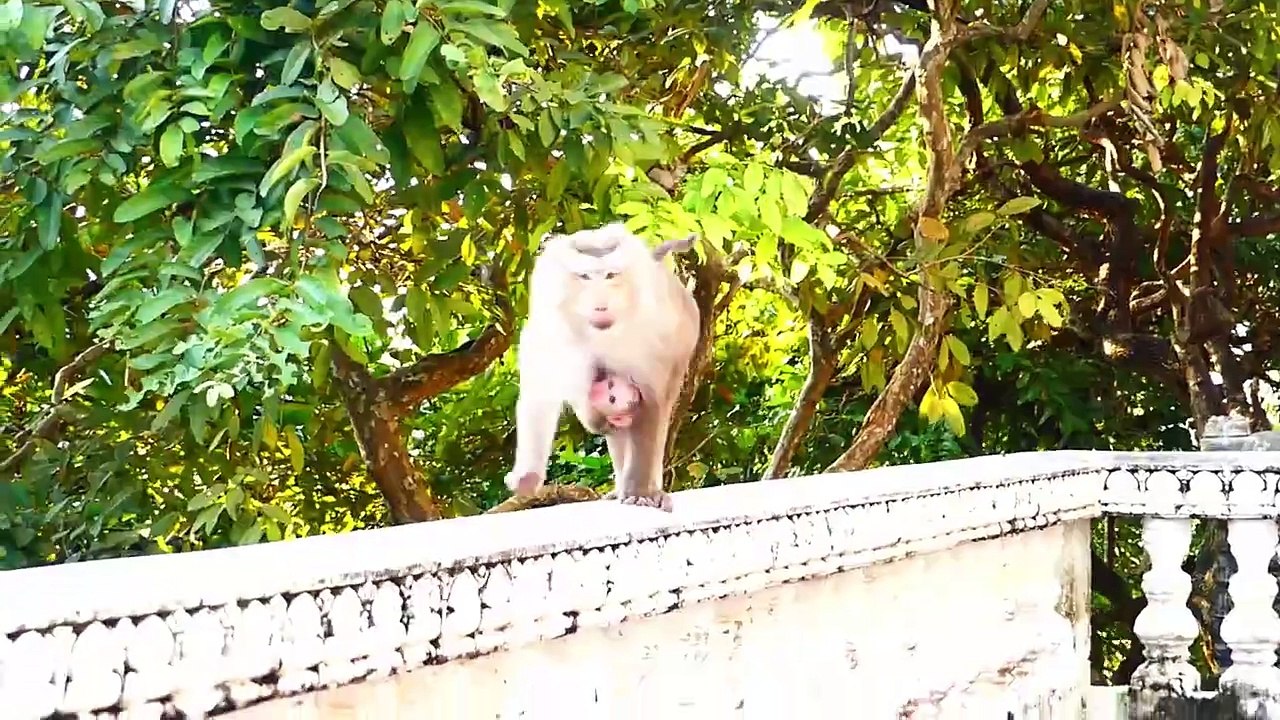 Tiny Baby Almost Falls Due To Careless Of Mother (720p_25fps_H264-192kbit_AAC)