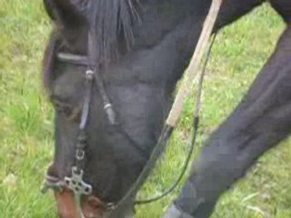 Galop Jason et moi