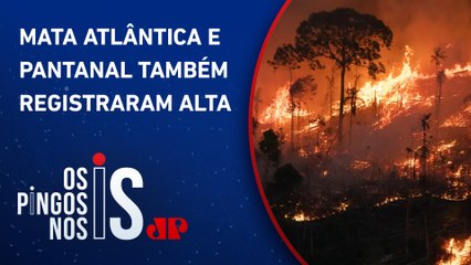 Amazônia tem alta de 286% em focos de queimadas, segundo Inpe
