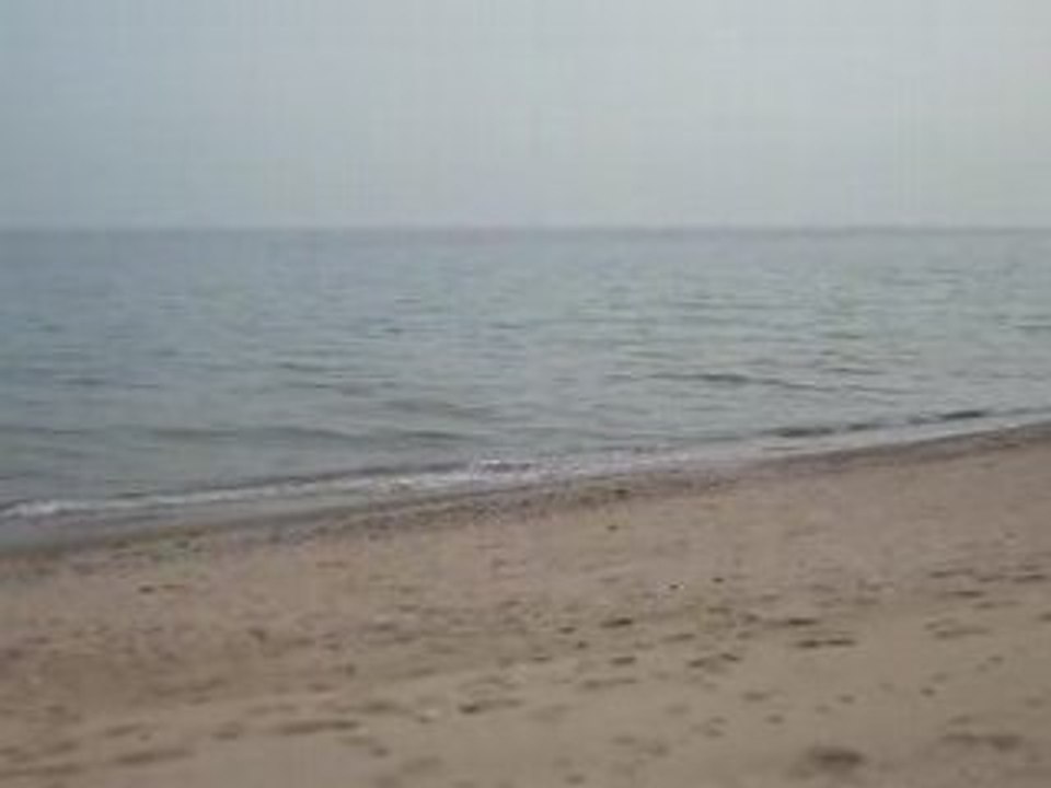 golden sands