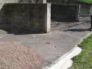 Explosion Accu Lipo