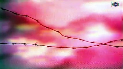 Jangloos PTV Drama - Episode 10