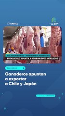 Ganaderos apuntan a exportar a Chile y Japón