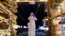 Palm Jumeirah como foi feita a ilha artificial de Dubai