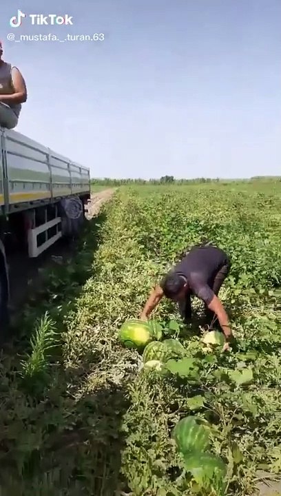 Acun bunu görse kıskançlıktan çatlardı